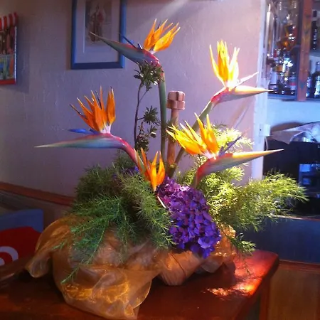 Bed & Breakfast Sao Jorge Village 3*
