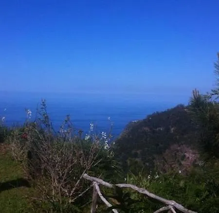 Sao Jorge Village Bed & Breakfast Santana (Madeira)