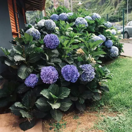 Bed & Breakfast Sao Jorge Village